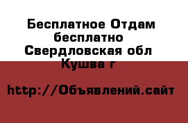 Бесплатное Отдам бесплатно. Свердловская обл.,Кушва г.